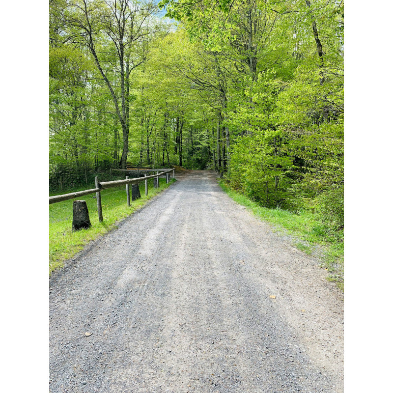 Servicii de Construcție și Reabilitare a Infrastructurii de Drumuri